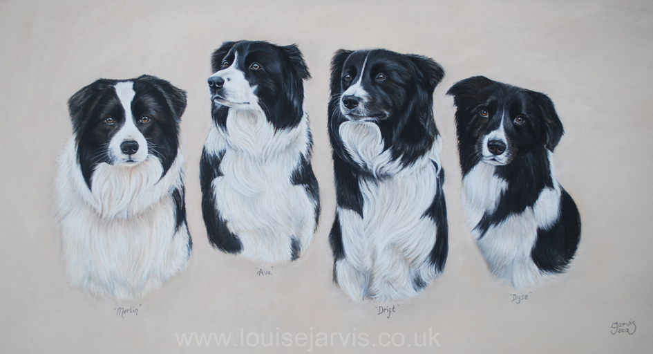 pastel portraits uk dog horse art by louise jarvis art scottish animal artist 