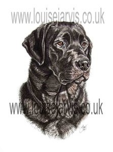pen and watercolour gallery pet and animal portraits, gifts for dog lovers, dog breed gifts, crufts uk, dog show, clothing, dog scarf, cushion, mugs, phone covers, dog breeds, i love my dog, pet portrait artist, dog portraits, scottish animal artist, louise jarvis, top dog artist uk, best animal art, award winning artist, k9 art, commission a portrait, pen and ink, pen and watercolour art, hounds, terriers, gun dogs, working dogs, pastoral dogs, toy dogs, utility dogs